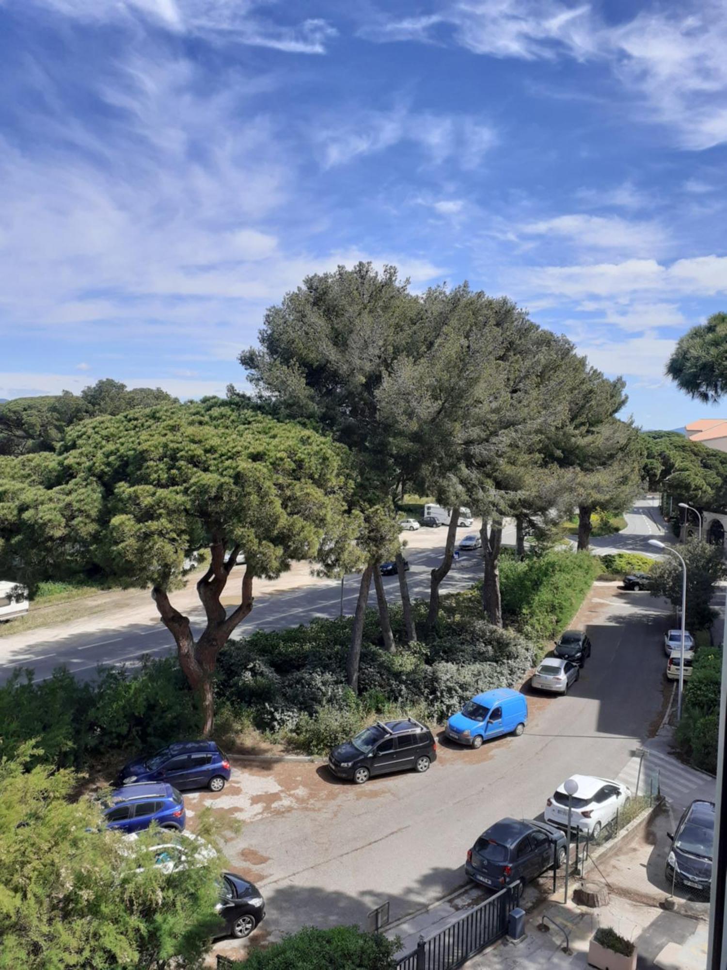 Studio Hyeres Port Et Iles D'Or. Exterior foto